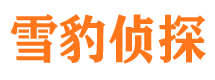 易门外遇调查取证